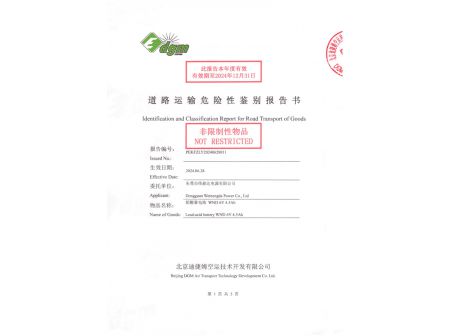 Identification and Classification Report for Road Transport of Goods