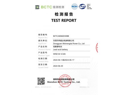 Test Report