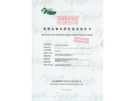 Identification and Classification Report for Road Transport of Goods