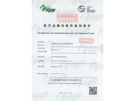 Identification and Classification Report for Road Transport of Goods