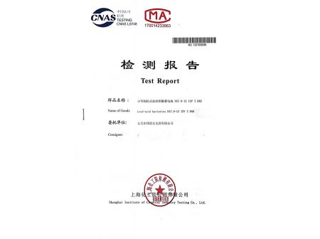 Test report