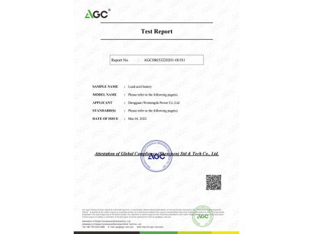 Test Report