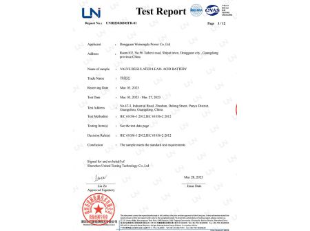 Test Report
