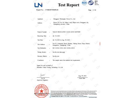Test Report