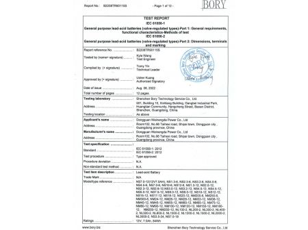 Test Report
