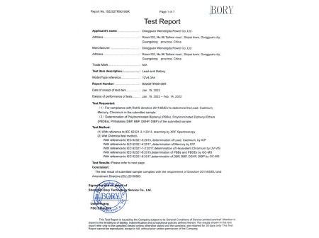 Test Report