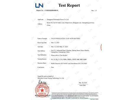 Test Report