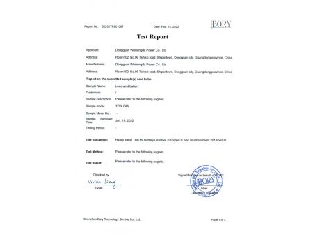 Test Report