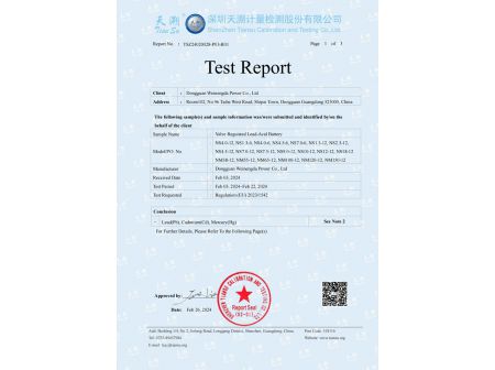 Test Report